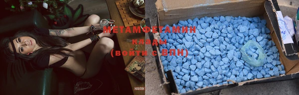 прущие грибы Абинск