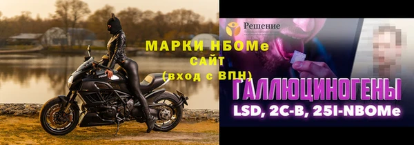 прущие грибы Абинск