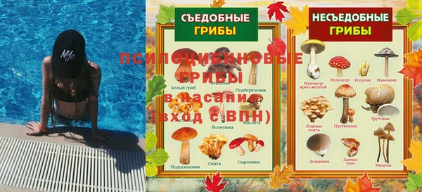 a pvp Абдулино