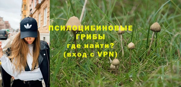 прущие грибы Абинск