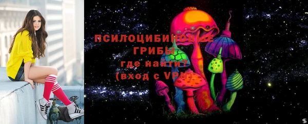 прущие грибы Абинск