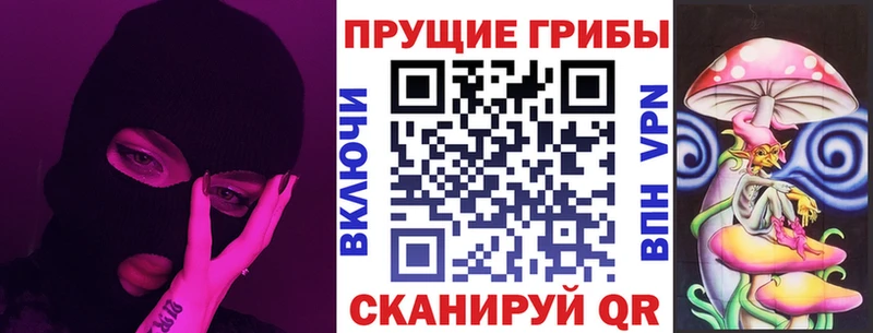 Псилоцибиновые грибы Psilocybe Торжок