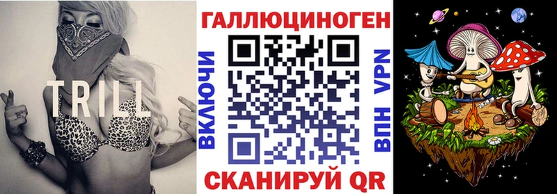 Галлюциногенные грибы Psilocybe  где продают наркотики  Торжок 